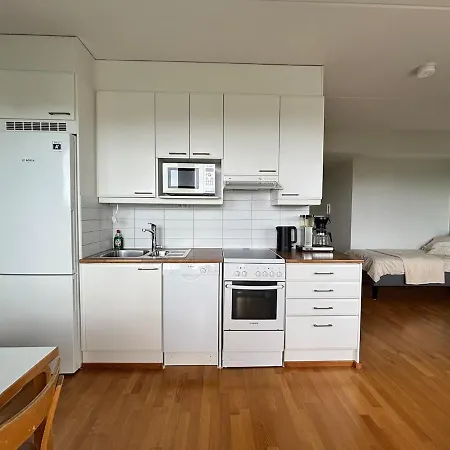 Modern With Sauna, A,c And Free Parking Turku